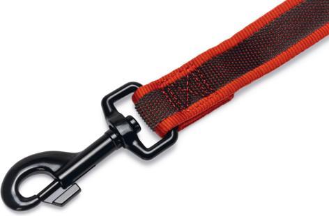 Actual product image Beeztees Dragline (Dog, Dog sport)