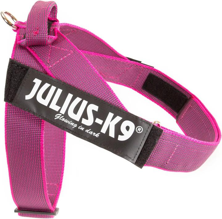 Actual product image Julius-K9 K9 HARNESS GR 2 PINK 71-9 (XL, Dog, Walks, General)