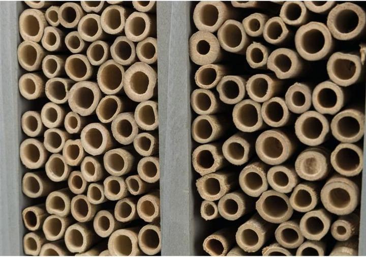 Actual product image Trixie Bee hotel (Wild bees, Digger wasps, Bee)