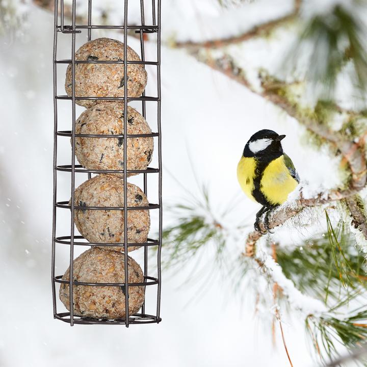 Immagine prodotto Relaxdays Porta gnocchetti Tit