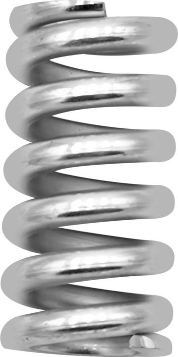 Mini Motor Rear Shock Spring