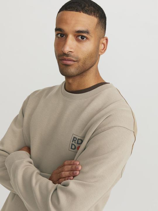 Immagine prodotto Jack & Jones Felpa RDD Dean (S)