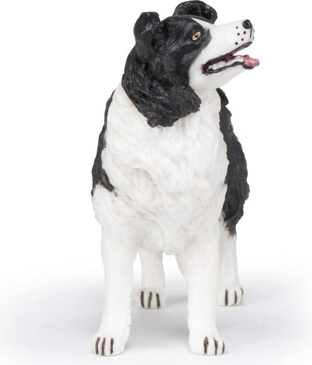 Produktbild Papo Border Collie