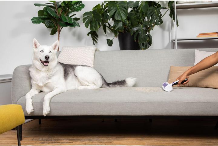 Produktbild Black & Decker Tierhaarentferner (Hund, Katze)
