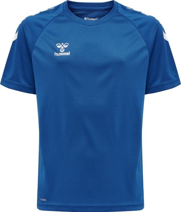 Vrai bleu