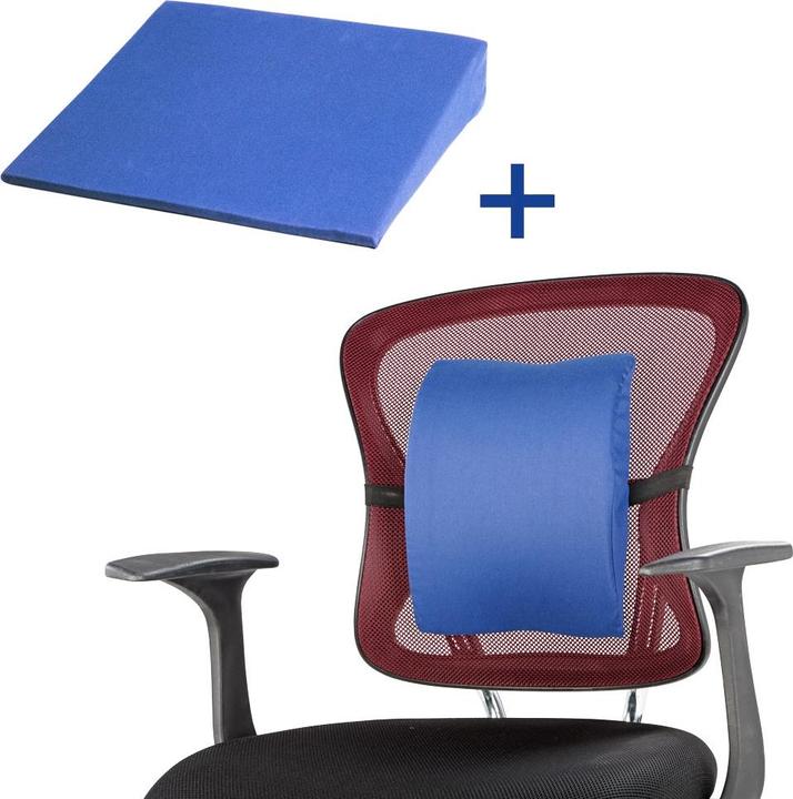 Immagine prodotto Aktivshop Keilkissen & Lendenkissen im Set (Toilette)