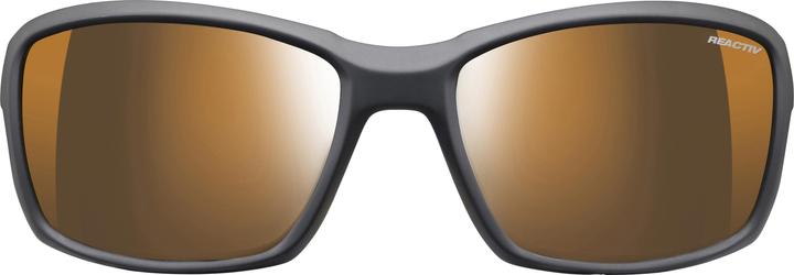 Actual product image Julbo camel ion