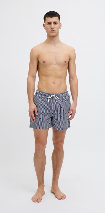 Actual product image Jack & Jones Jpstmaui Jjswim Mini Stripe Akm Sn (XS)