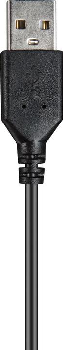 Actual product image Sandberg Chat (Cable, USB-A)