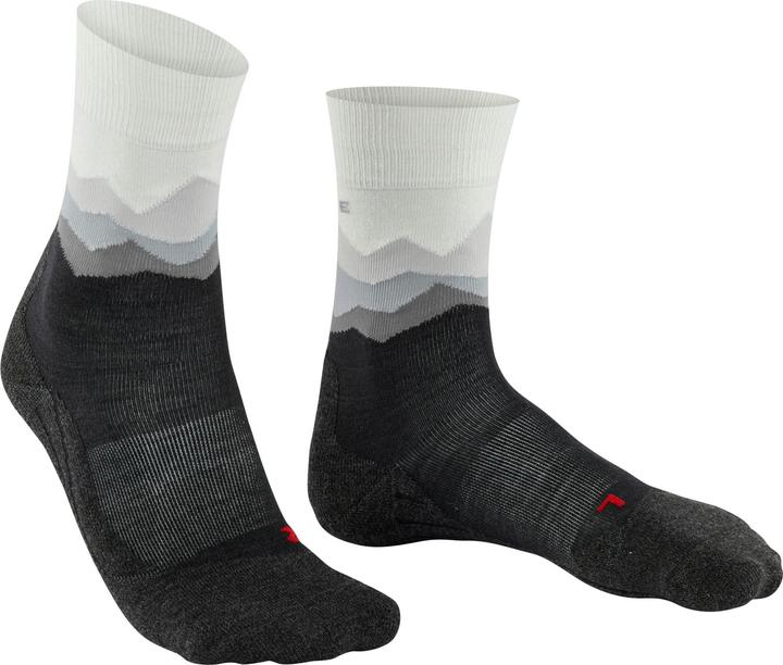 Produktbild Falke TK2 (37 - 38)