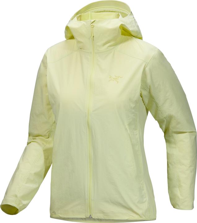 Arc'teryx Gamma Lightweight Hoodie