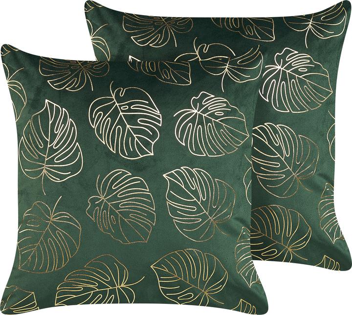 Coussin décoratif