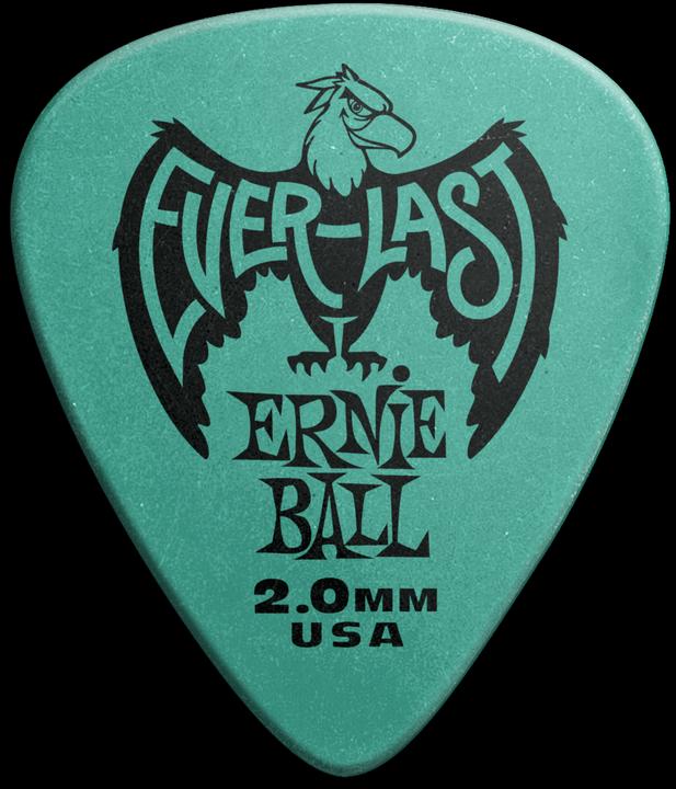 Ernie Ball Everlast (12 x, 2 mm)