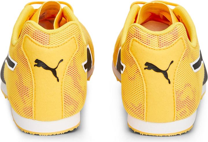 Image du produit Puma evoSPEED Star 8 (44.5)