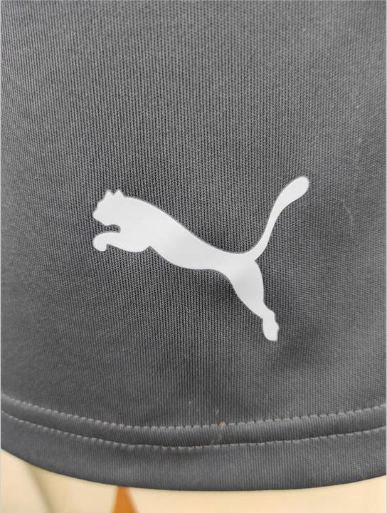 Produktbild Puma IndividualLIGA Training Shorts 2 Jr (open pockets) (176)