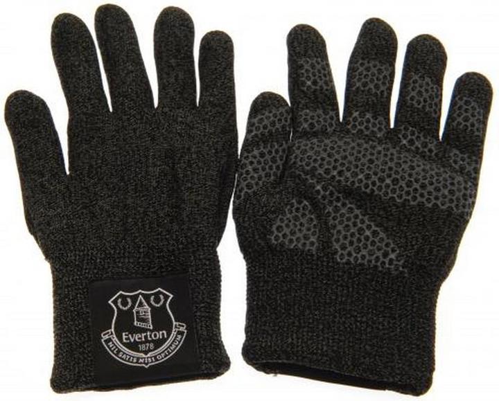 Actual product image Everton FC UTTA5071 P (One size)