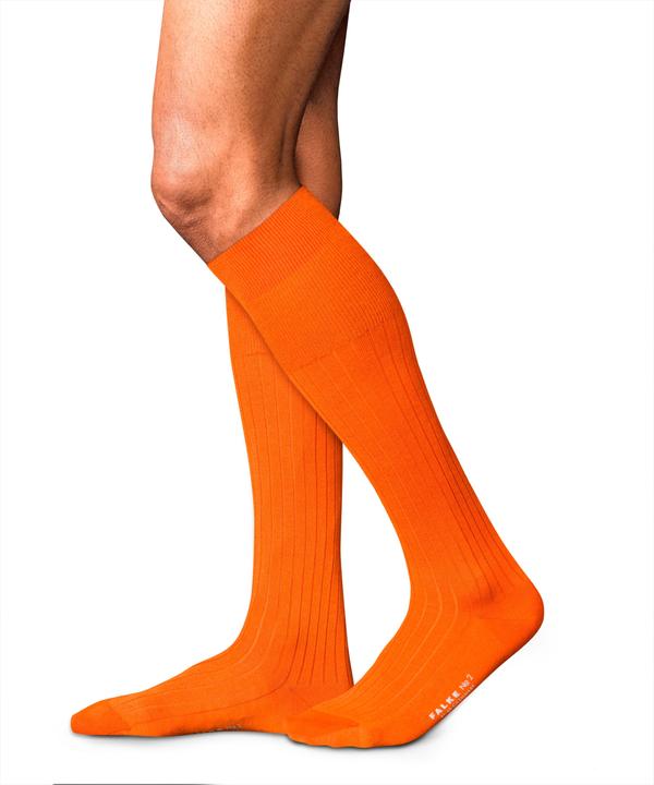 Immagine prodotto Falke No. 2 KH (45 - 46)