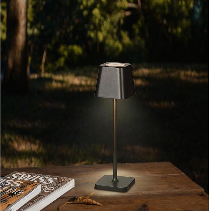Actual product image Schönenberger Helios (220 lm)