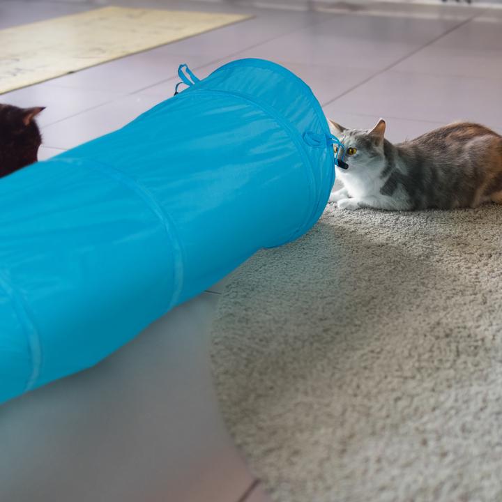 Image du produit Relaxdays Tunnel pour chats (Jouet d'occupation chat)