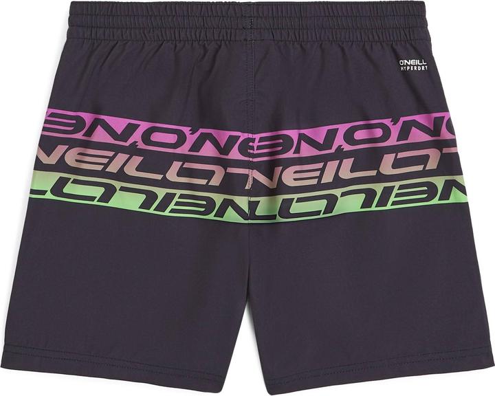 Actual product image O'Neill Cali Stripe 14" Swimshorts (152)