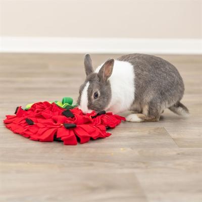Actual product image Trixie Snuffelmat Aardbei Rood - 40X33 Cm
