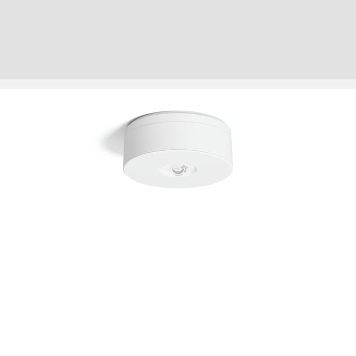 RZB LED-Sicherheitsleuchte