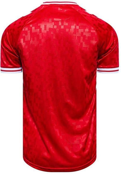 Actual product image hummel Denmark (M)
