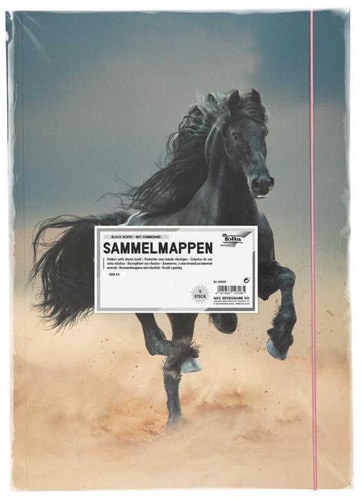 Image du produit Folia Dossier de dessins BASIC "Black Horse", carton, DIN A3 (A3, 1 x)