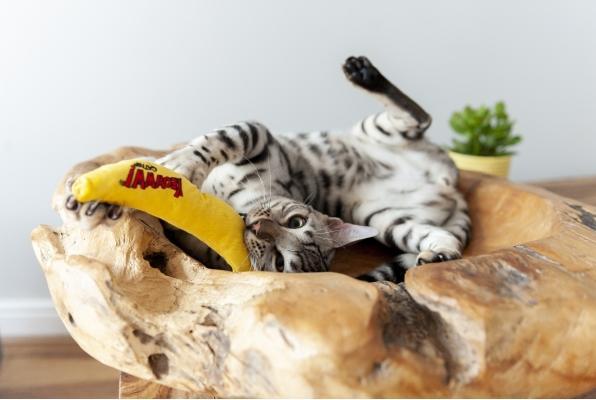 Actual product image Yeowww Banana 18cm filled with catnip (Catmint toy)