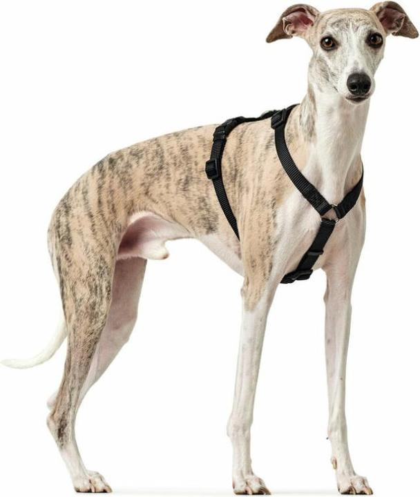 Produktbild Hunter Sicherheitsgeschirr Vario Rapid (M, L, Hund, Allgemein)