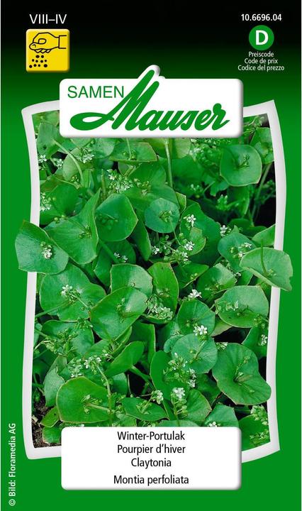 Produktbild Samen Mauser Winter-Portulak (Gemüsesamen)