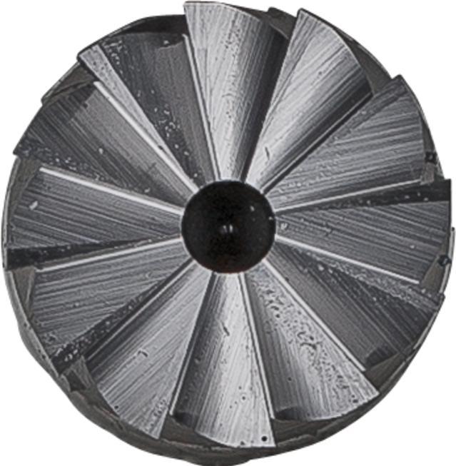 Productafbeelding Pferd ZYAS 1225/8 GEGOTEN