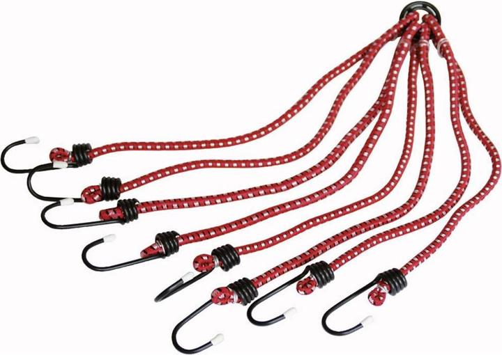 Actual product image HP Autozubehör Luggage spider 8 arms