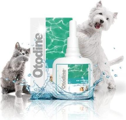 Actual product image Otodine Ear cleaner