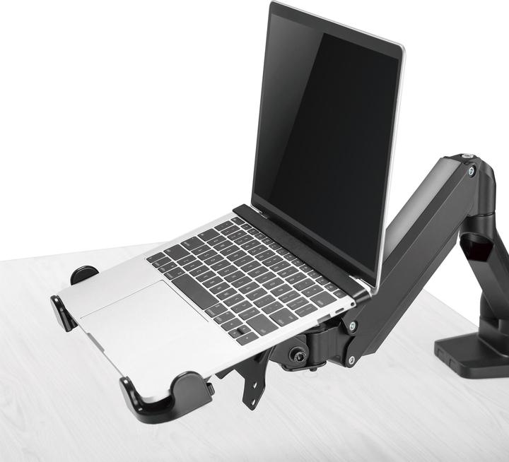 Produktbild InLine ® Notebook-Halterung bis 43,20cm (17"") mit VESA 75/100 Montageplatte