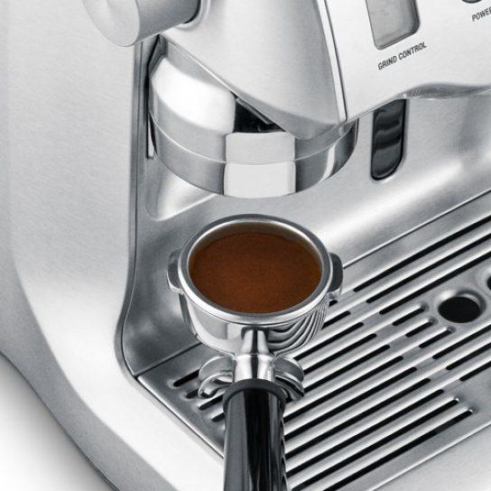 Actual product image Sage the Oracle