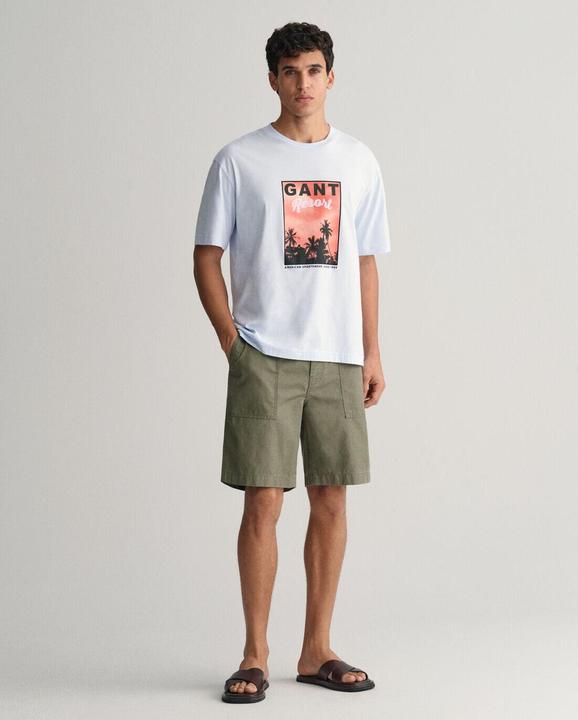 Actual product image GANT t-shirt washed graphic (L)