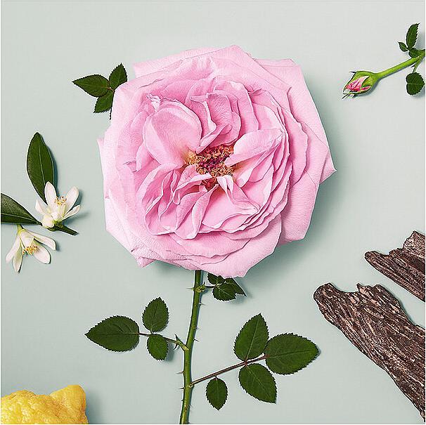 Produktbild Chloé Naturelle (Eau de Parfum, 100 ml)