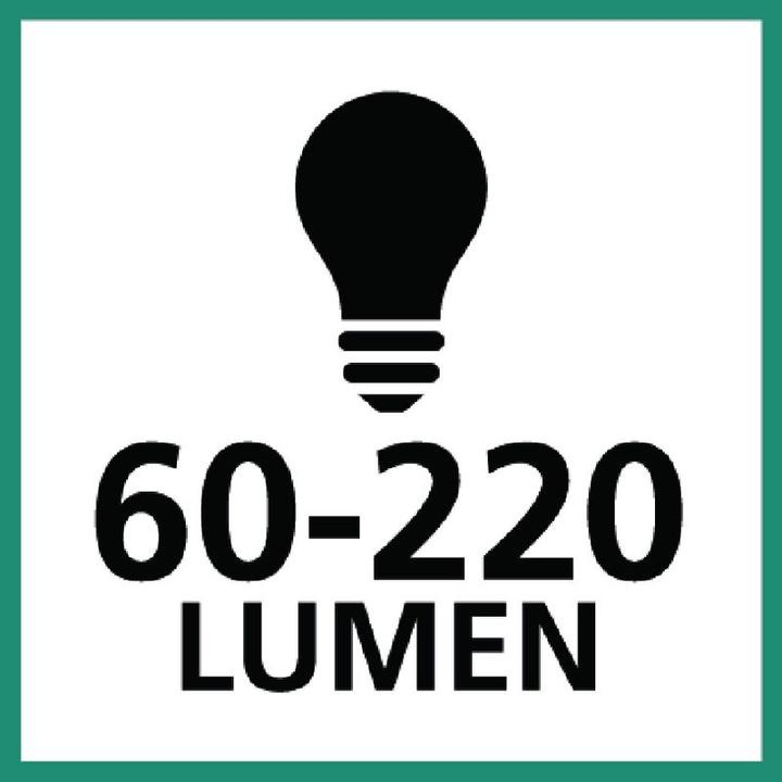 Productafbeelding Ledlenser W4R Werk (220 lm)