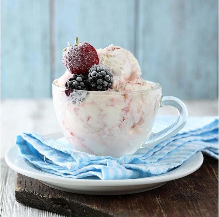Actual product image Gastroback Ice cream container