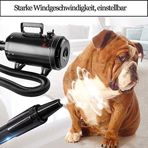 Produktbild Forever Hundefön