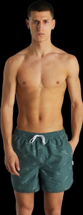 Actual product image Dedicated Swim Shorts Sandhamn Sea Turtles Forest Green S (S)