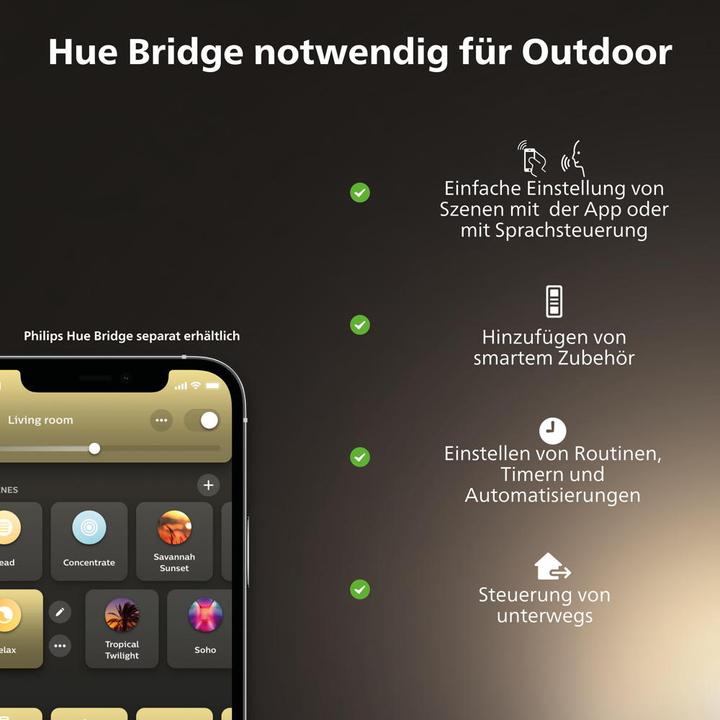 Image du produit Philips Hue Base d'accueil de Hue (2600 lm)