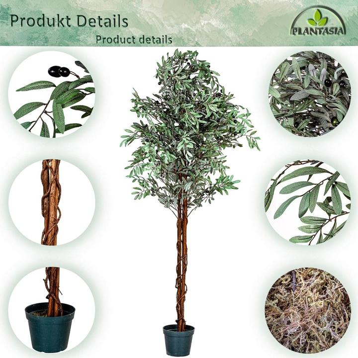 Image du produit Plantasia Olivier (180 cm)