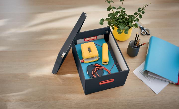 Immagine prodotto Leitz CLICK & STORE COSY - Scatola media (A4)