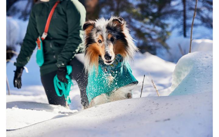 Actual product image Hurtta Monsoon V2 Eco green mackintosh, 60 cm (60, Dog raincoat)