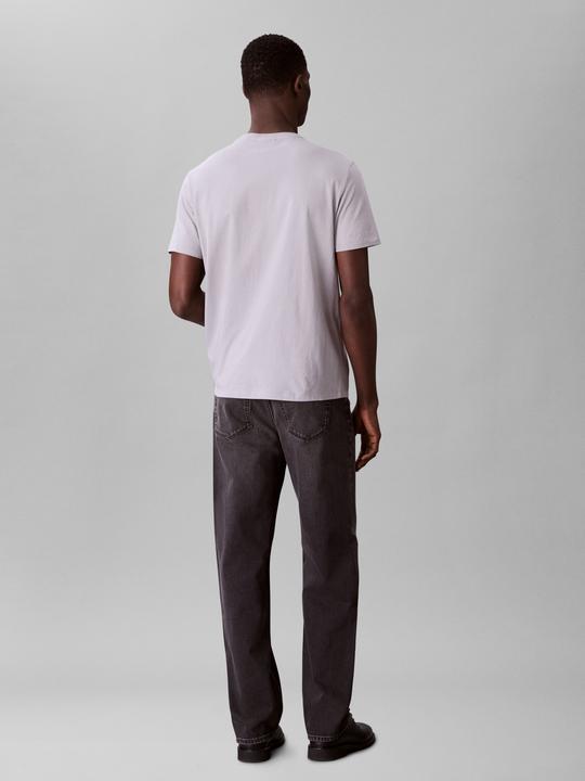 Immagine prodotto Calvin Klein Jeans Ss Badge 30s Jersey Classic Tee (S)