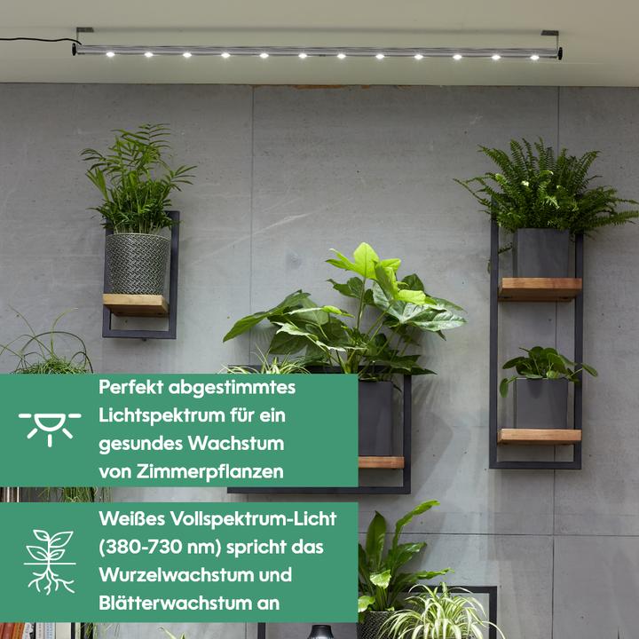 Actual product image Parus by Venso Wall Spot 150cm, beam angle 60 °, LED growth lamp, growth light for indoor plants and (LED, 245 V)