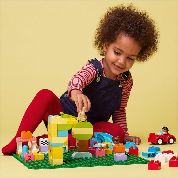 Actual product image LEGO Large construction panel (2304)