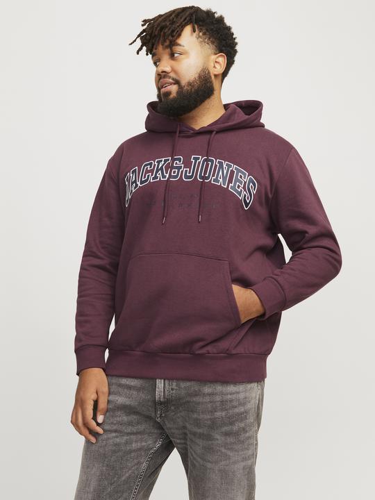 Immagine prodotto Jack & Jones Jjecaleb Varsity Sweat Hood Noos Pls (3XL)